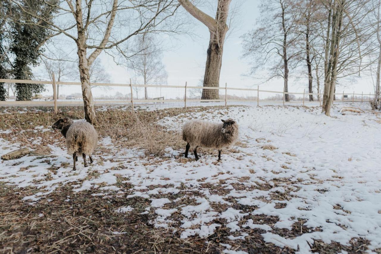 Our Farm Ferienwohnung Grasberg Bagian luar foto