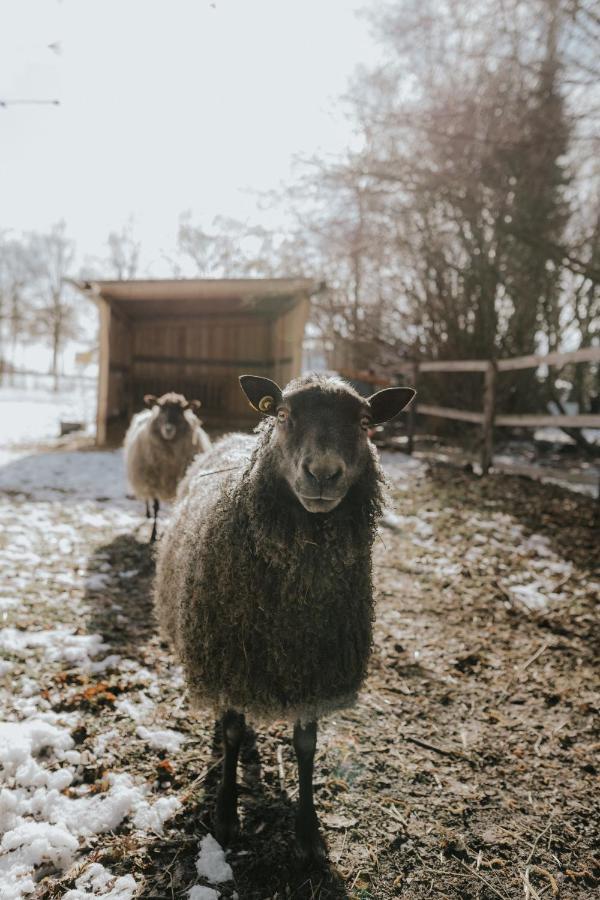 Our Farm Ferienwohnung Grasberg Bagian luar foto